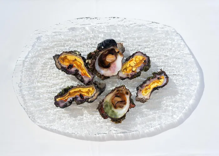 White Resort- Adults Only Apartamento